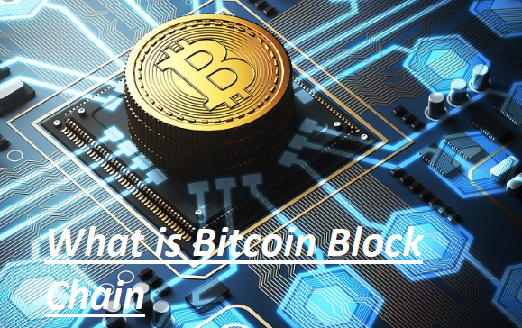 What is Bitcoin Block Chain