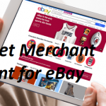 Internet Merchant Account for eBay