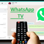 How to Open a WhatsApp TV and Make Money from It