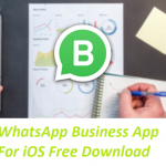 WhatsApp Business App For iOS Free Download