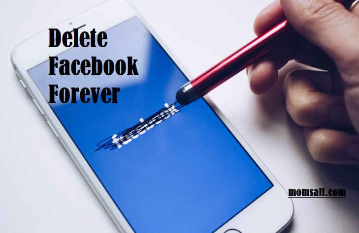 Delete Facebook Forever