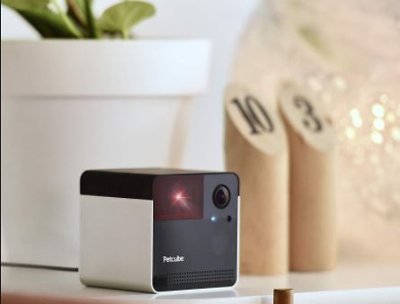 Petcube Cam Is A Tiny, Intelligent Way To Keep Tabs On Your Pets