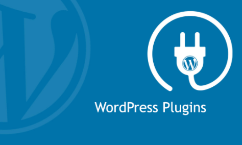 Install WordPress Plugins