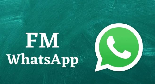 Fm whatsapp 8.95 download