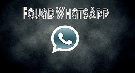 Fm whatsapp 8.95 download
