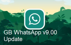 GB WhatsApp v9.00 Update