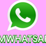 FM WhatsApp 9.21 Download