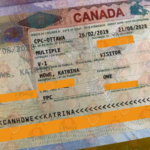 Steps to Get Canada Visa