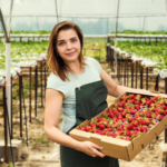 Fruit Picking Jobs in Florida for Foreigners