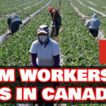 Farm Worker Jobs in Canada With Visa Sponsorship for 2023