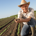Italy Farm Working Jobs With Visa Sponsorship 2023
