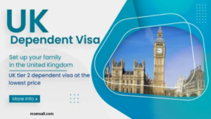 How to Switch From UK Student or Dependent Visa to Skilled Worker Visa